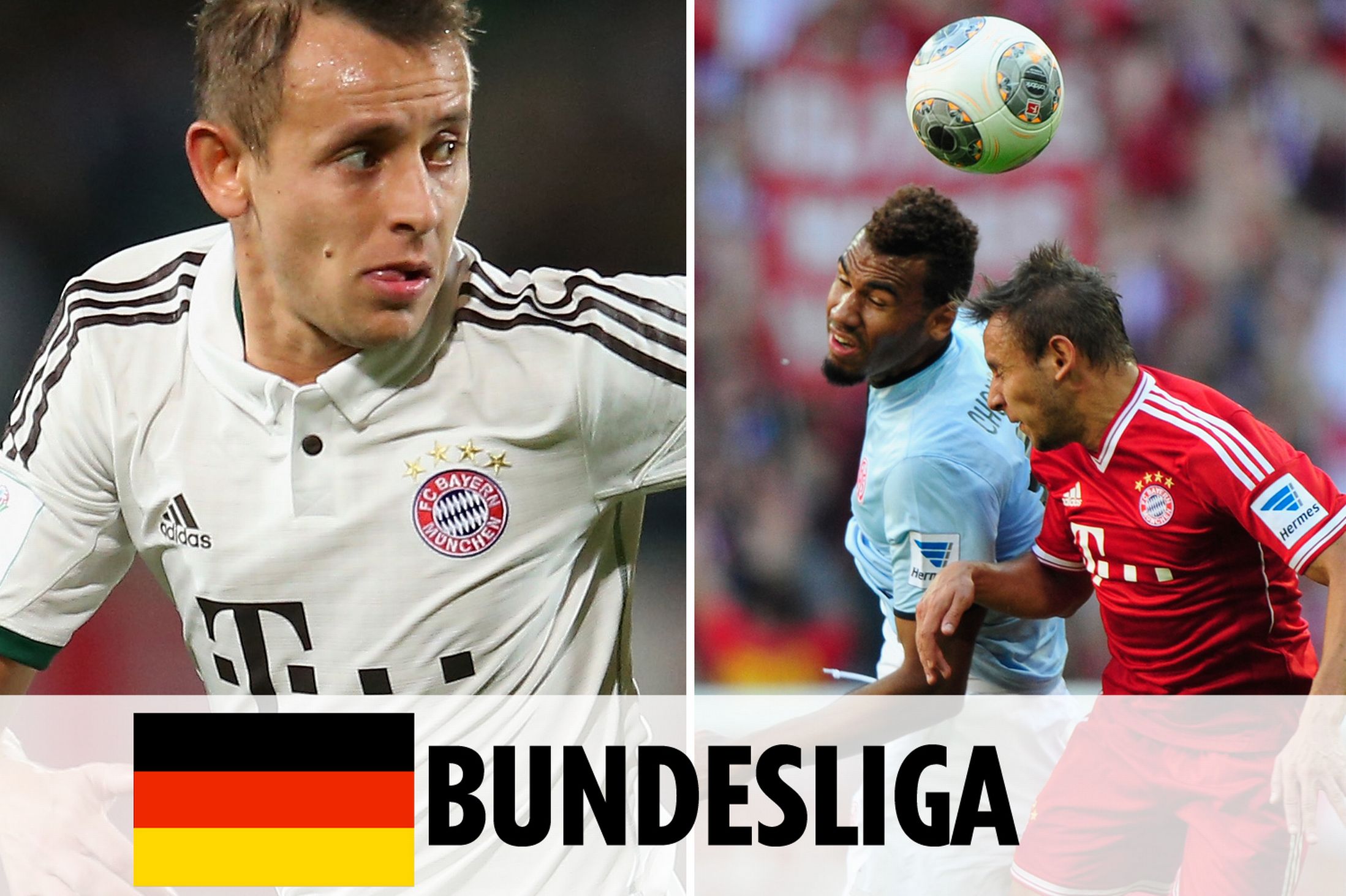 从行业视角 从行业视角